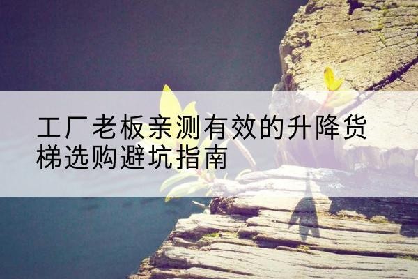 铜山升降货梯怎么选-工厂老板亲测有效的升降货梯选购避坑指南