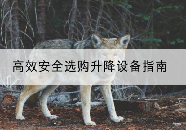 铜山升降货梯厂家推荐-*安全选购升降设备指南