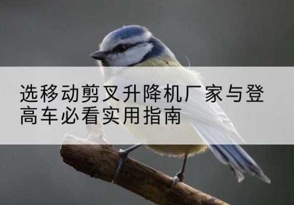 铜山电动升降机厂家-选移动剪叉升降机厂家与登高车必看实用指南